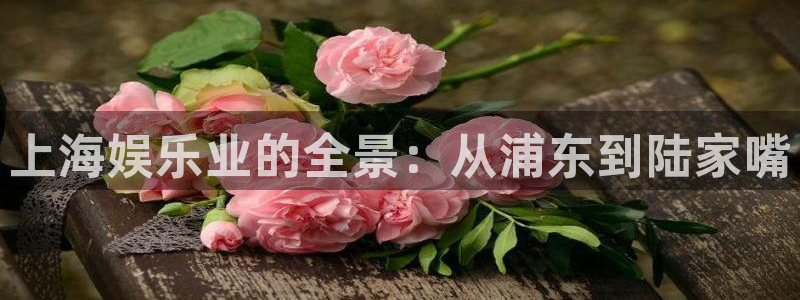 壹号娱乐体育3：上海娱乐业的全景：从浦东到陆家嘴
